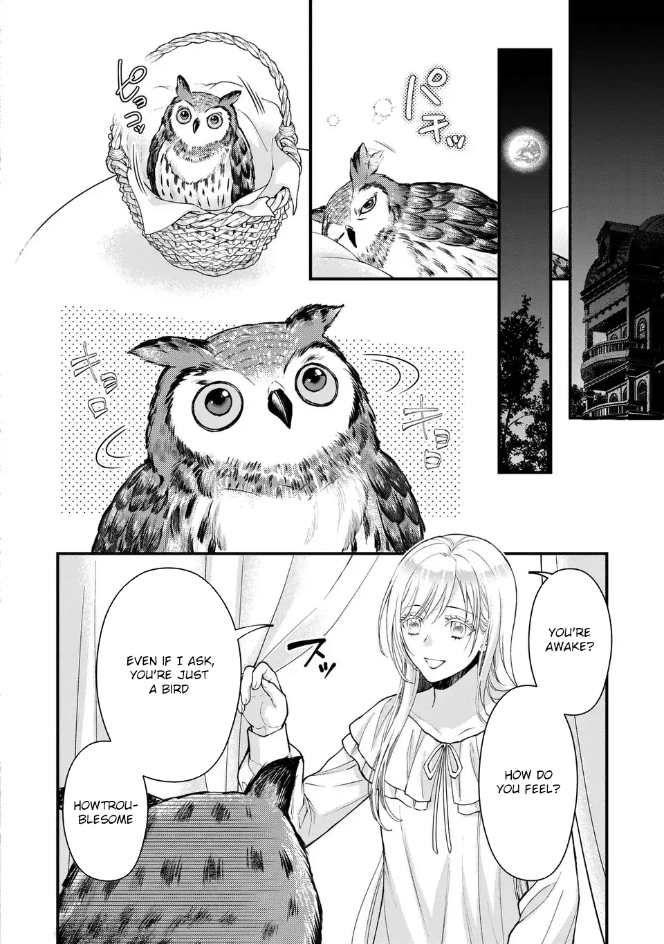 The Owl and Its Mate Chapter 1 - . Page 34